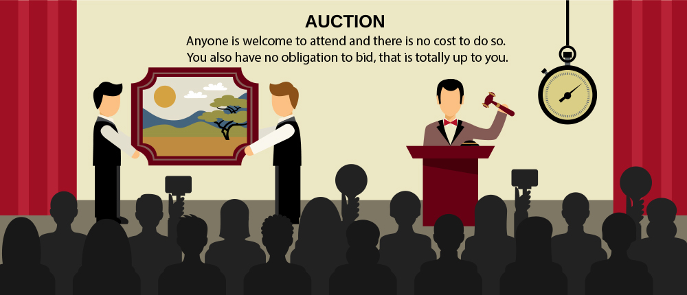 Seized Sales Auctions Explainer Info Graphic Auction